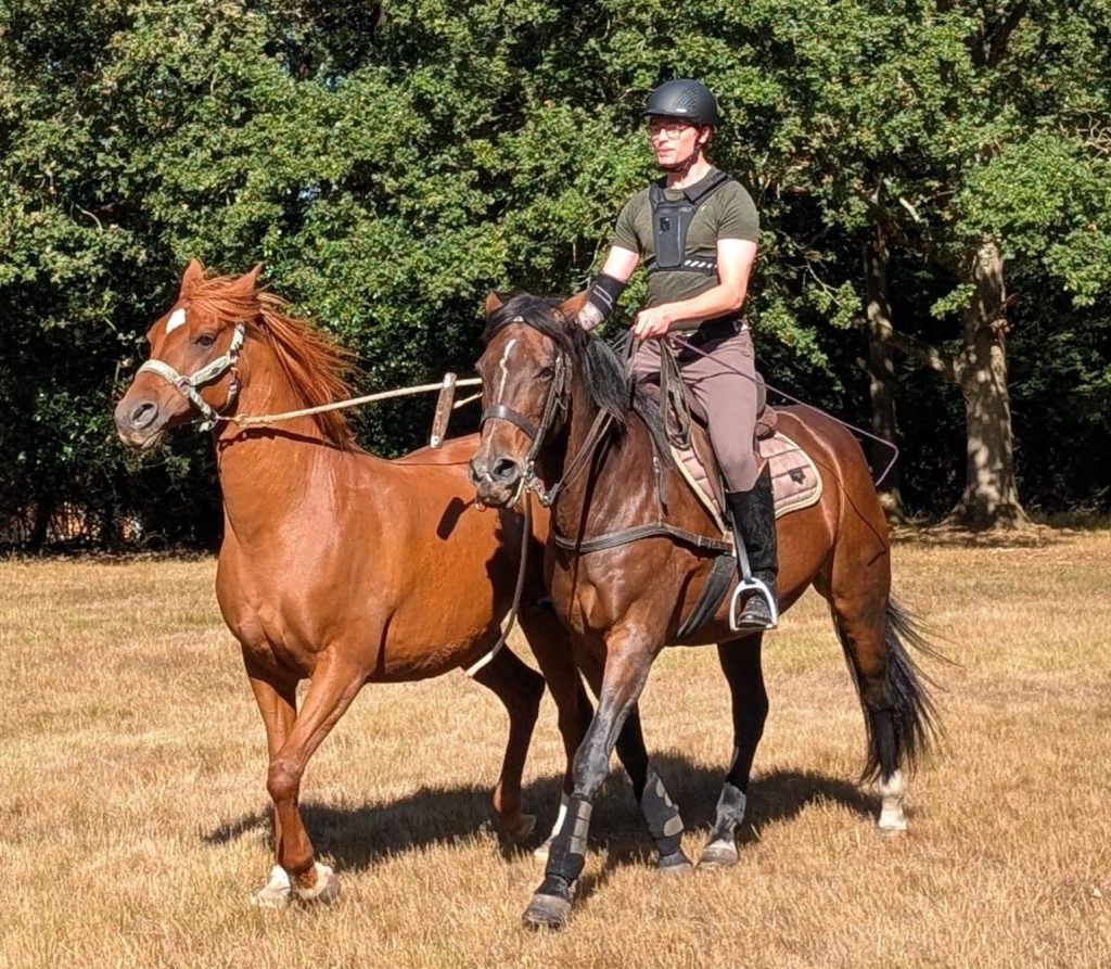 Two Ponies One&nbsp;Rider