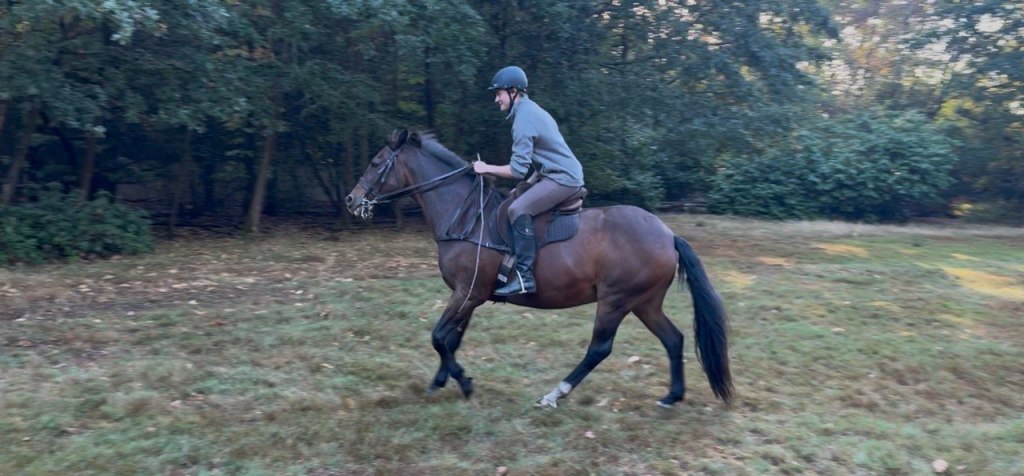 Learning Polo with&nbsp;AI